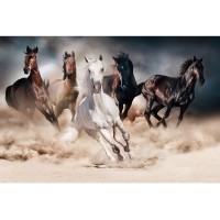 Obraz Horses 120 x 80 cm
